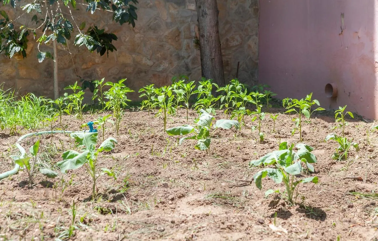 Appartamento L - Wellness Farm Lagos